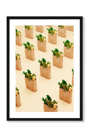 Shopping bags groceries / food