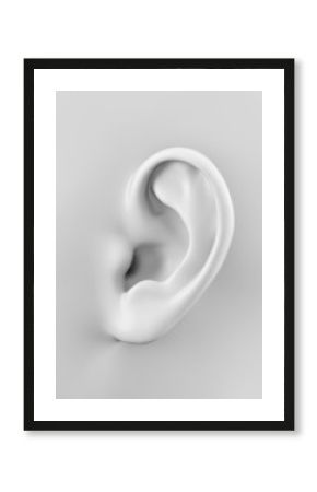 3d rendered illustration of a human ear
