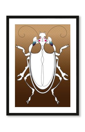 insect