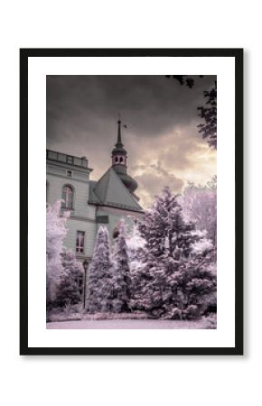 fotografia w podczerwieni budynków i roślinności