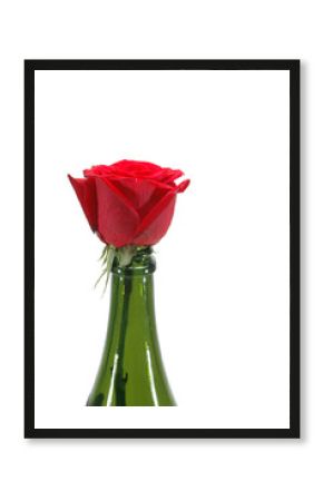 Rosa en una botella