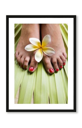 Spa Tropical