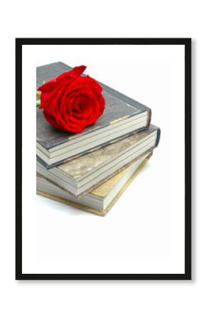 Rosa y libro