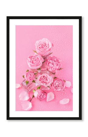 pink roses on pink background. spring blossom season. holiday concept Valentine's day, mother's day, birthday. gentle glamur pink background with rose flowers. template for design