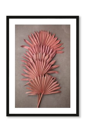 Dried pink tropical palm tree leaf boho style fashionable decoration on a concrete background