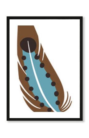 Color feather. Decorative bohemian element. Soft quill