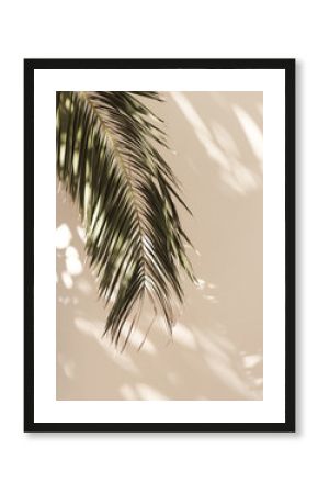 Palm leaf beautiful shadows on the wall. Creative, minimal, styled concept for bloggers.