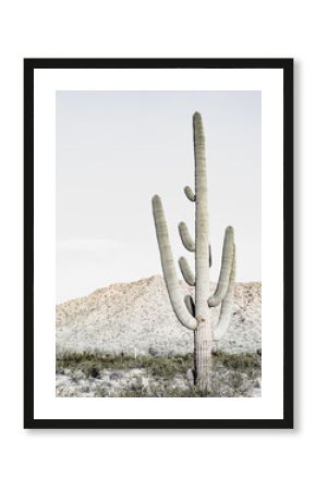 Southwest Desert Cacti Modern Home Decor 