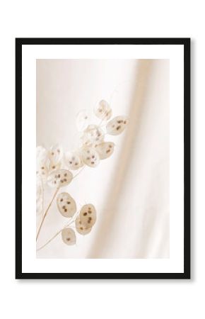 Dry lunaria on a pastel beige background. dry seed pods of lunaria with seeds visible. Floral minimal home interior boho style. Lunaria annua, moonwort. Selective focus