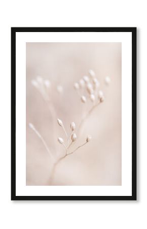 Dry flowers plant floral branch on soft beige pastel background. Blurred selective focus. Pattern with neutral natural colors.
