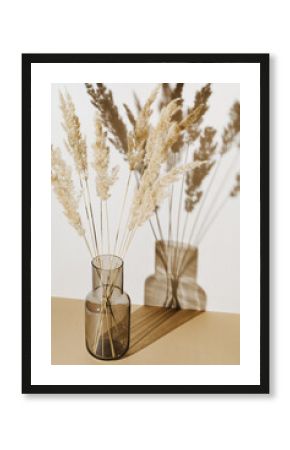 Pampas grass branches in vase on pastel neutral beige background with sun light and trendy shadow. Reeds foliage. Modern interior design concept.