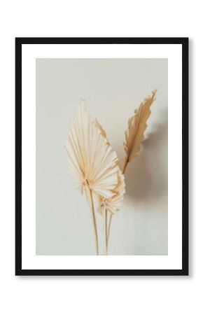 Tan fan craft leaves on white background. Minimal floral concept.