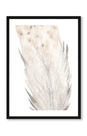 Feather boho chic watercolor illustration clipart