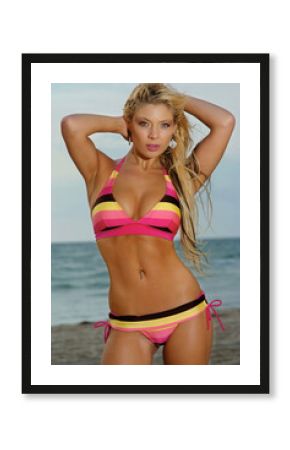 Beautiful bikini girl posing on beach