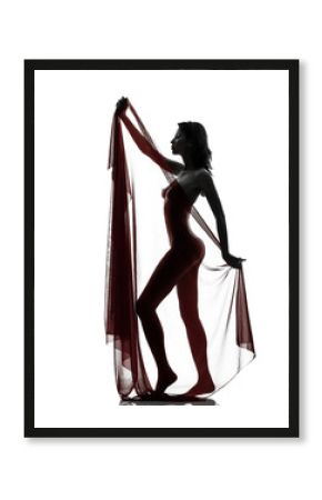 beautiful asian woman naked behind red veil silhouette