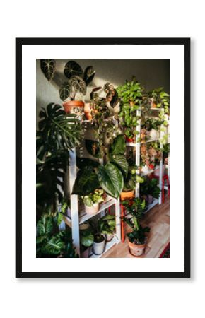 Cozy room with indoor plants.