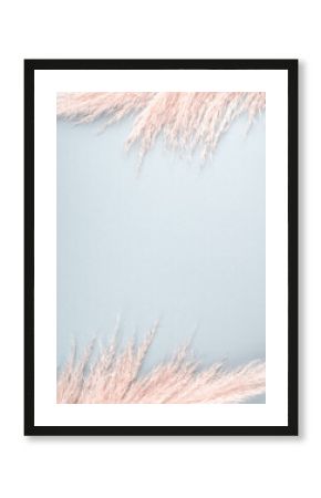 Minimal design background with pastel pink pampas grass on blue.