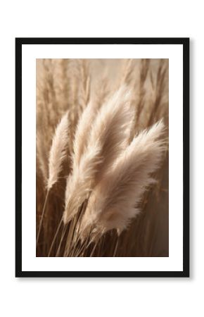 Background with dried pampas grass.