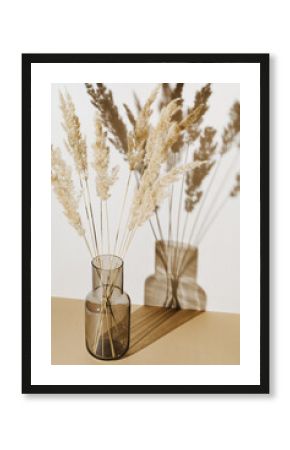 Pampas grass branches in vase on pastel neutral beige background with sun light and trendy shadow. Reeds foliage. Modern interior design concept.