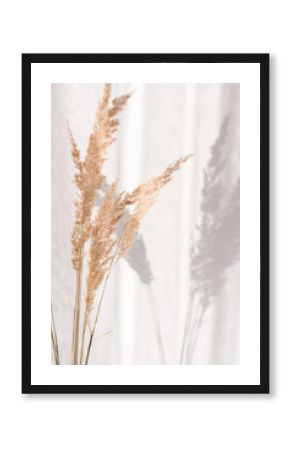 Close-up of soft dry branches of beige reeds on a light background in a modern stylish and minimalistic interior.Beautiful natural background in neutral tones and shades.Trendy rustic style.Vertically