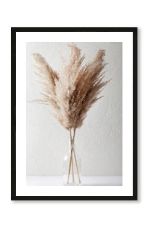 Pampas grass in vase on white background. natural background. minimal, stylish concept. new trendy home decor. 