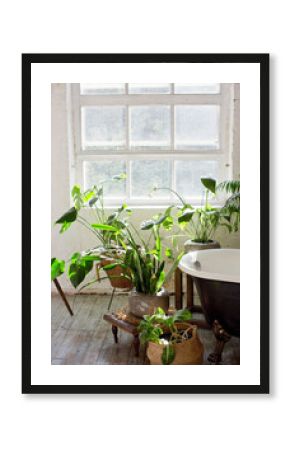 Bathroom interior with windows and plants