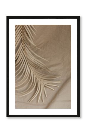 dry palm branch fabric background beige decor