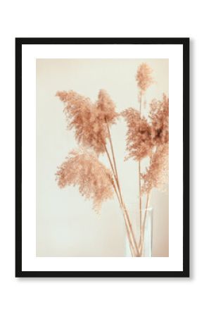 Pampas grass in a glass vase near grey wall. Modern dry flower decor.