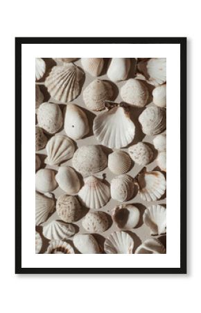 Neutral beige and white seashells pattern background