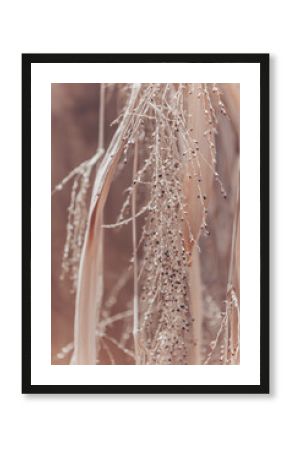 Floral minimal home interior boho style. Fall composition with dry golden reeds. Abstract natural background. Beautiful pattern with neutral colors. Minimal, stylish, trend concept. 