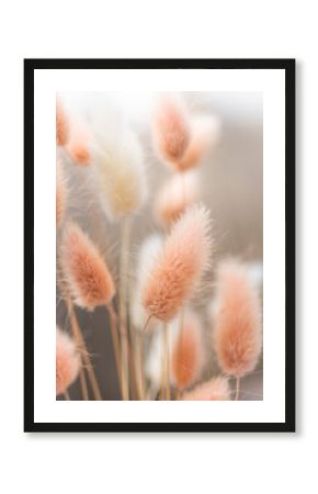 Dry fluffy bunny tails grass on neutral beige background. Tan pom pom plant herbs. Abstract Floral card. Poster. Selective blurred focus.