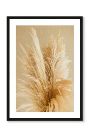 Dry pampas grass reeds agains on beige background. Minimal, stylish, trend concept. Copy space. Trend color 