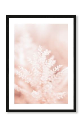 Dry fluffy flowers plant floral branch on soft beige pastel background. Blurred selective focus. Pattern with neutral natural colors.