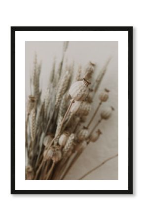 Dried Poppy vintage lifestyle image minimal concept, poster image