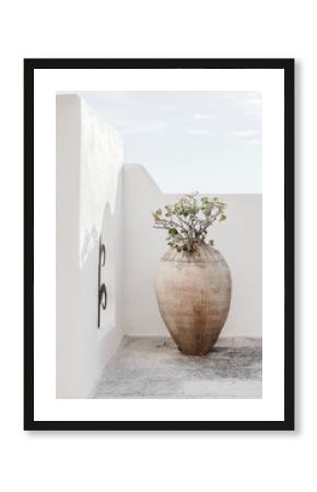 Beautiful vase with flowers shadows on the wall. Creative, minimal, styled concept for bloggers.