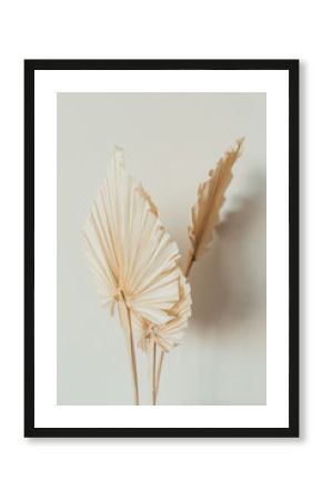 Fan leaves made of craft paper on white background. Minimal floral concept.