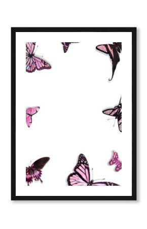 Pink holographic and glittery butterfly frame design element