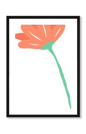 Hand-drawn flower is showing coral-orange petals fanning from green calyx on transparent background