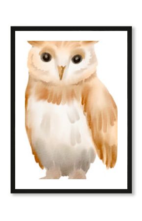 watercolor owl