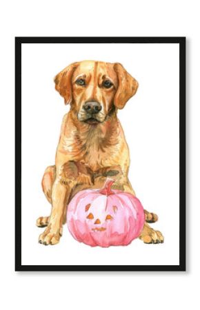 PNG A brown dog with pink pumpkin illustration watercolor halloween.
