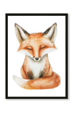 PNG Wildlife animal mammal fox.