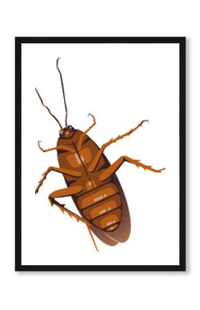 Dead cockroach lying on its back illustration