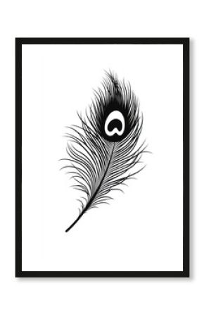 Peacock feather black white art.