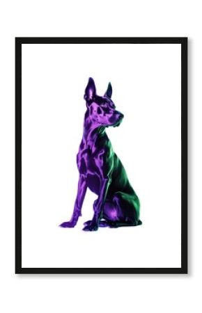 Dobermann Neon rim light purple animal dog.