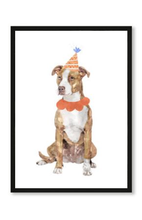 Pitbull terrier dog png illustration on transparent background in watercolor with birthday party hat & collar
