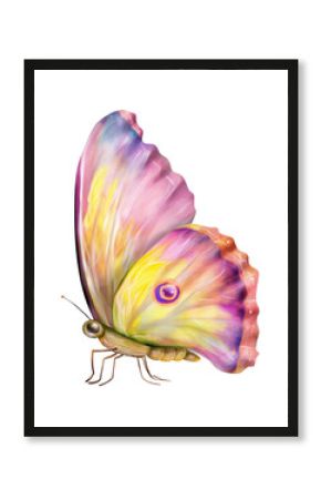 PNG Flying Butterfly butterfly art illustration.