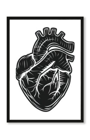 PNG Detailed anatomical heart illustration
