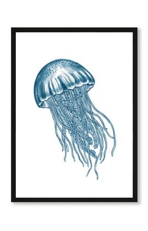 Hand drawn jellyfish drawing animal blue.