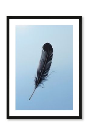 Minimal space black feather sky lightweight fragility.