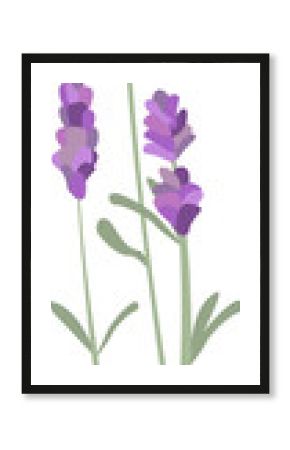 Flat design lavender-like stems are featuring heart petals with smiling bee, transparent background
